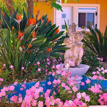 Iris Apartment Near Corfu Town Kontokali Ngoại thất bức ảnh